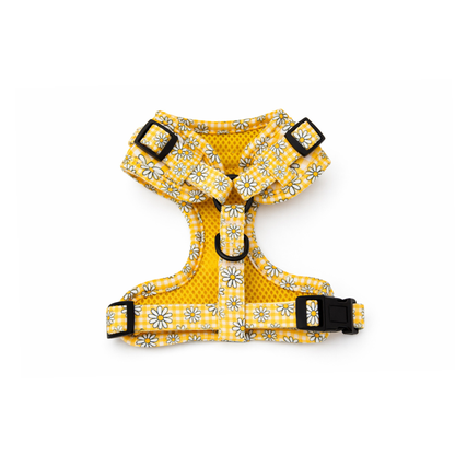 Sunny Blooms Dog Bundle Harness, Collar & Lead