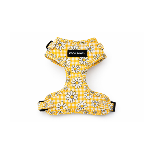 Sunny Blooms Dog Harness